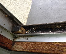 �J�o�[�H�@�������g�{�H�O