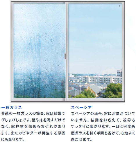 �P���K���X�ƃX�y�[�V�A�̌��I��