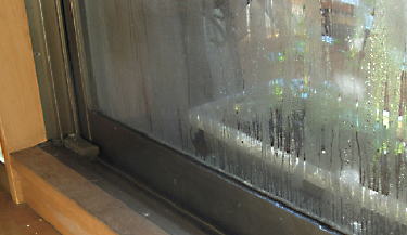 �~��̑��̌��I